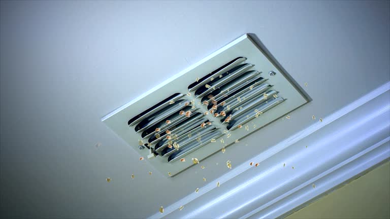 Best Residential Air Duct Cleaning  in Topanga, CA